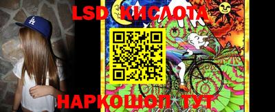эйфоретик Будённовск