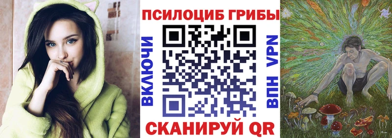 сколько стоит  Кашира  Галлюциногенные грибы Cubensis 