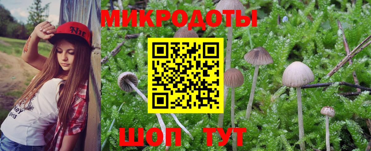 Галлюциногенные грибы ЛСД  Кашира  Галлюциногенные грибы мицелий 