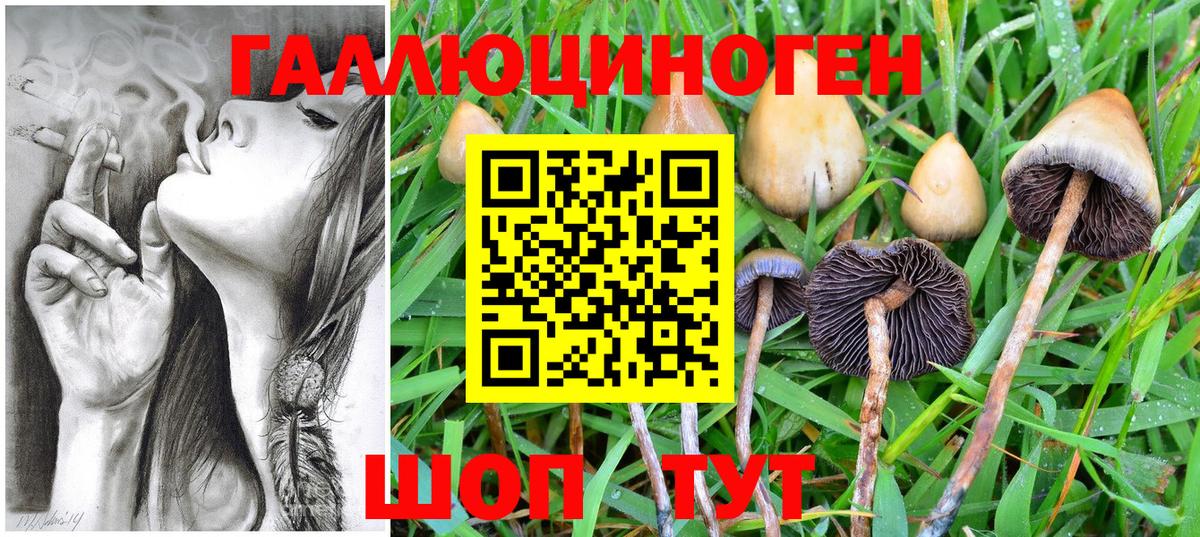 Конопля  Кашира  Вход с VPN  Мяу-Мяу  Гашик 