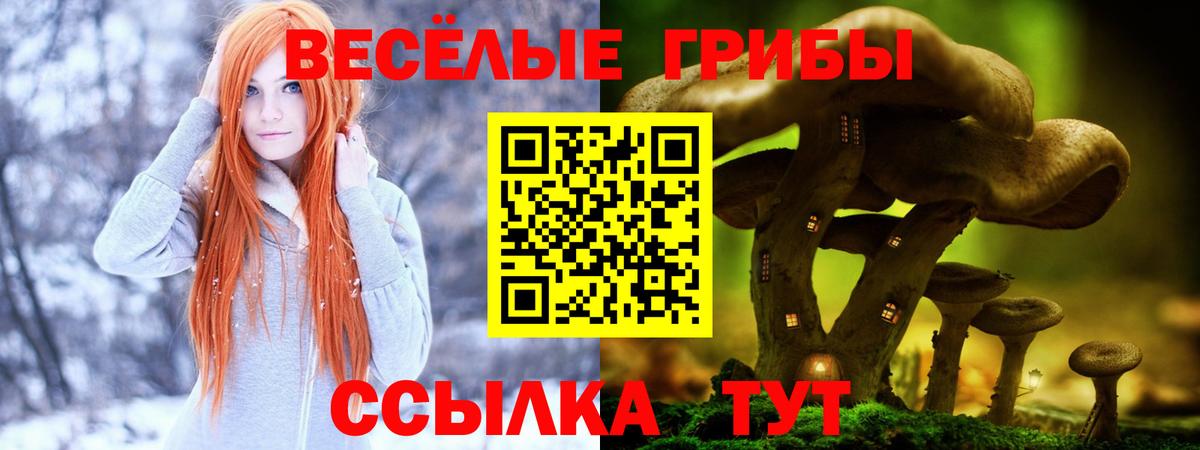Псилоцибиновые грибы ЛСД  Вход с VPN  Кашира 