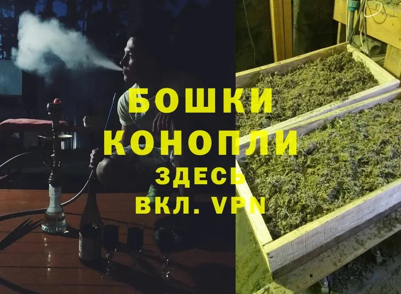 цены наркотик  Кашира  МАРИХУАНА Ganja 